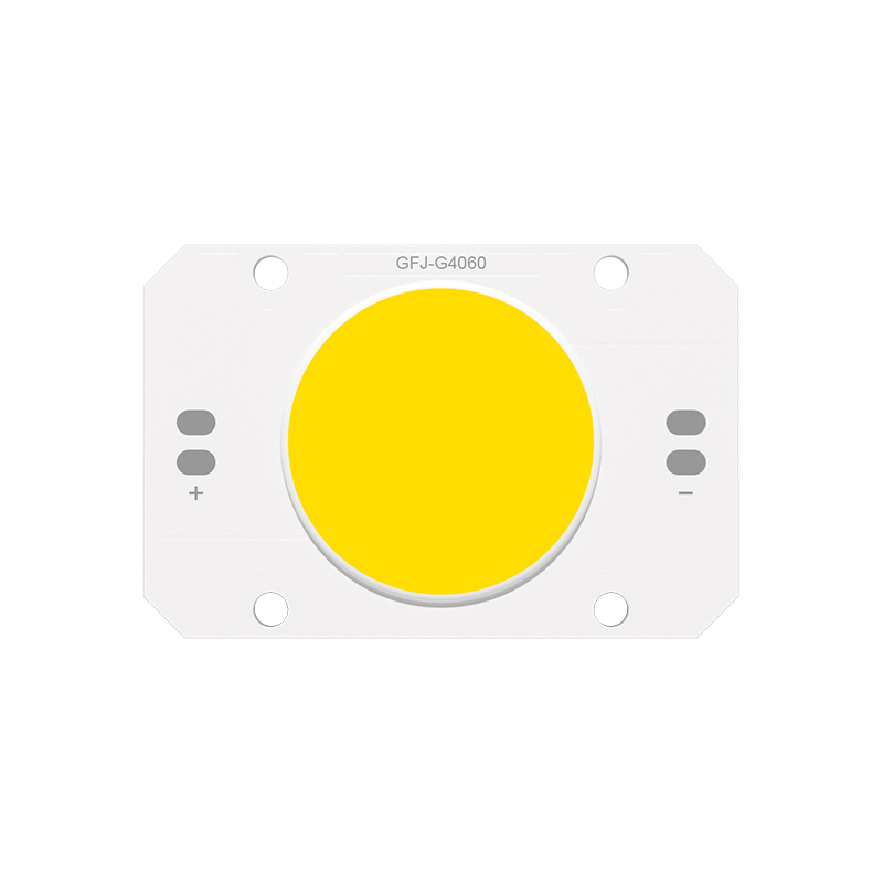 COB光源-戶外照明系列G4060A032-50W-12C12B